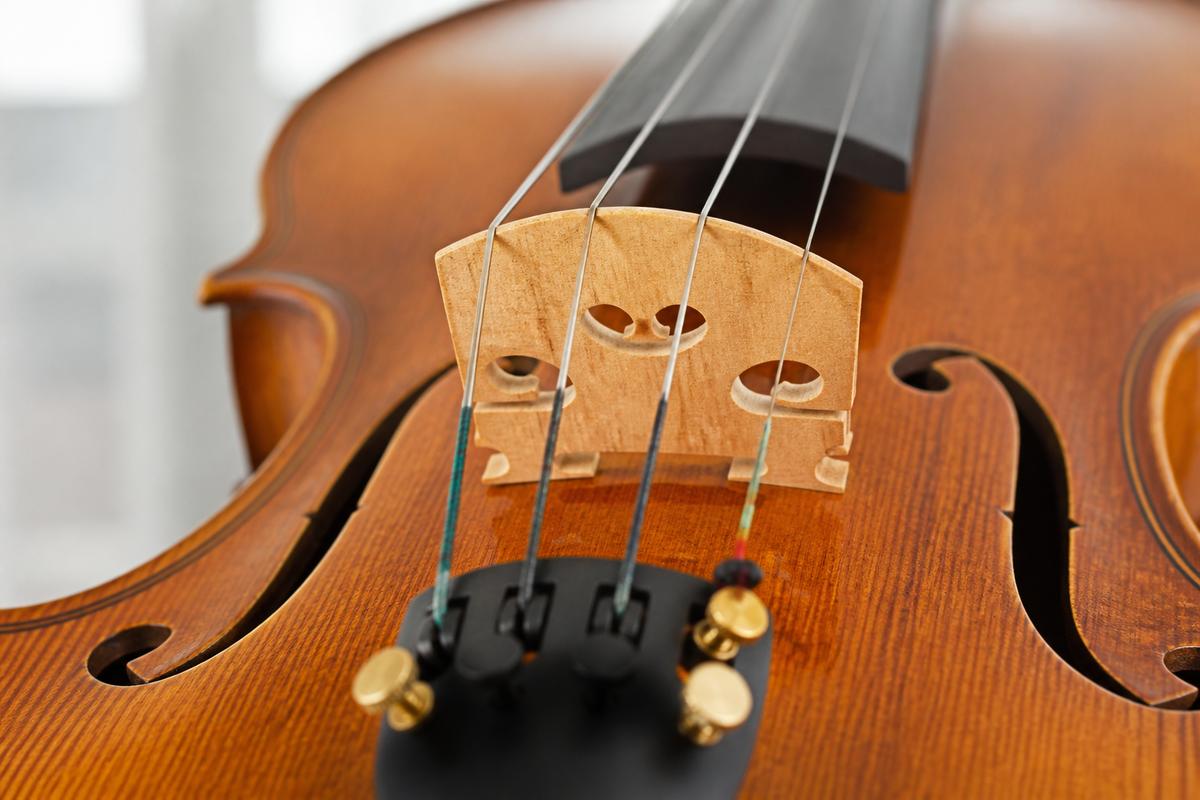 Close view of a violin bridge and strings